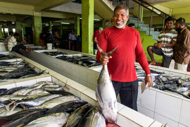 FISH-MARKET--perfectiunetoursmaldives